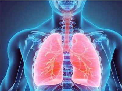 6 cách làm sạch 2 lá phổi, tống đờm, cải thiện hô hấp, ngừa virus xâm nhập để an toàn giữa đại dịch