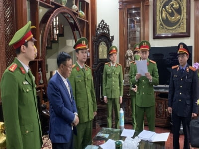 Những sai phạm tại dự án núi Hang Diêm khiến nguyên Phó Chủ tịch Hà Nam bị bắt