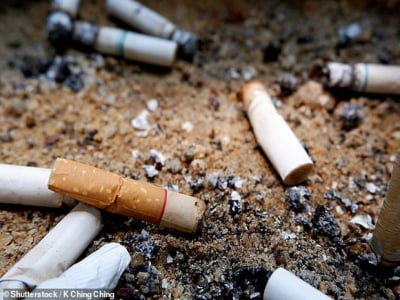 4,5 NGHÌN TỈ đầu lọc thuốc lá xuất hiện mỗi năm, cây cỏ trên thế giới đang chết dần chết mòn 