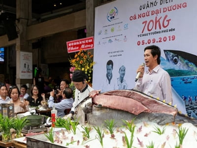 Hàng trăm du khách trầm trồ xem mổ cá ngừ đại dương 70kg từ Phú Yên vào ở phố đi bộ Bùi Viện