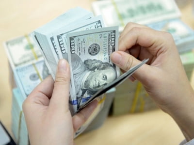 Tỷ giá ngoại tệ hôm nay: Giá USD tăng nhẹ