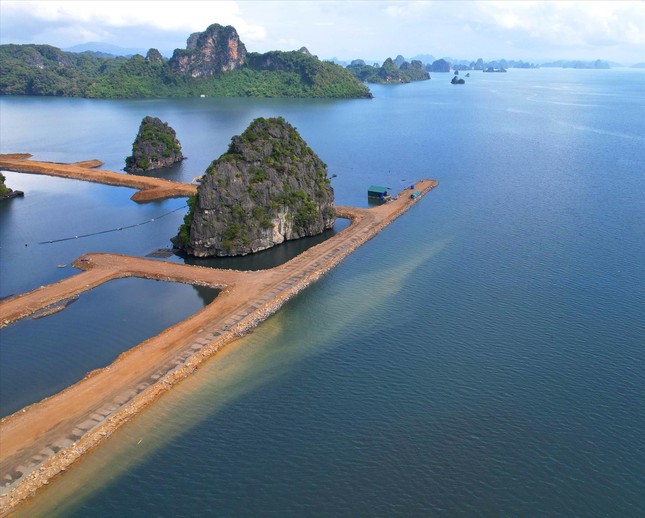 halong