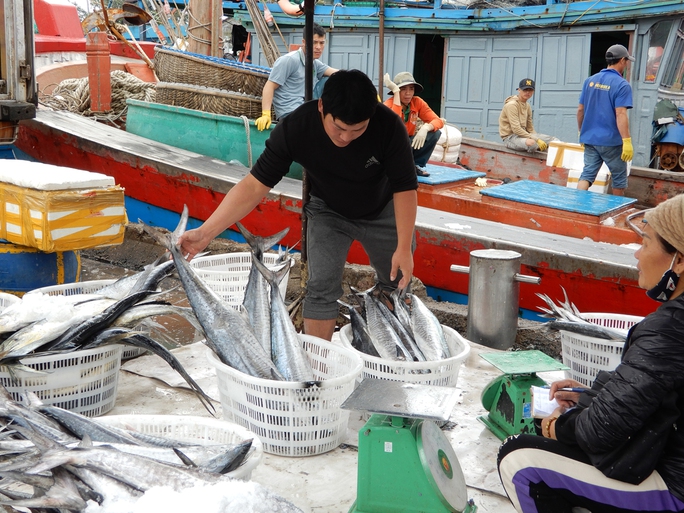 Dốc sức, quyết tâm cao gỡ 
